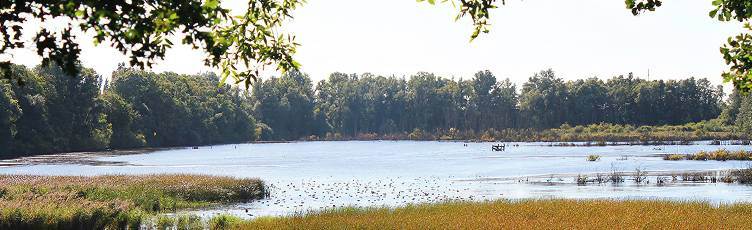 RNOP Résèrve naturelle ornothologique Ploegsteert