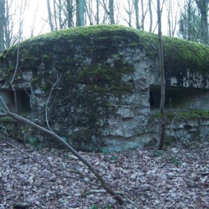 Blockaus Abri de défense dans bois claude