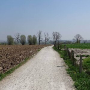Bois du Gheer - bois de la Hutte Ploegsteert Comines
