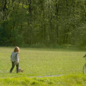 Bois du Gheer - bois de la Hutte Ploegsteert Comines