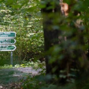 Bois du Gheer - bois de la Hutte Ploegsteert Comines