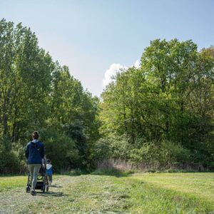 Bois du Gheer - bois de la Hutte Ploegsteert Comines