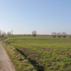 Bois du Gheer - bois de la Hutte Ploegsteert Comines
