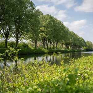 Canal Comines Ypres - Komen Ieper kanaal