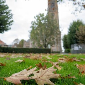 Eglise Warneton automne