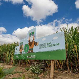 How'Labyrinthe jeu Labyrinthe maïs Ploegsteert Le Bizet Comines-Warneton Comines