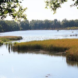 RNOP Résèrve naturelle ornothologique Ploegsteert