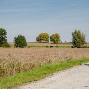 Tour à vélo Comines