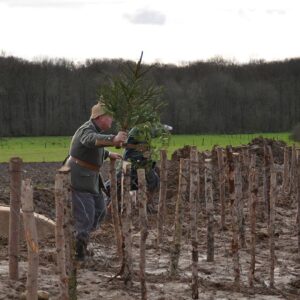 Christmas Truce 1914- 1918