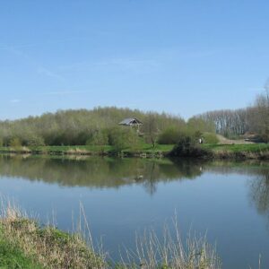 Verdigue Comines printemps