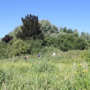 Vert Digue Comines
